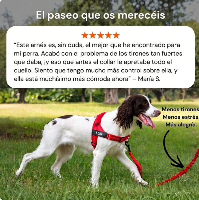 Arnés AntiTirones para Perros