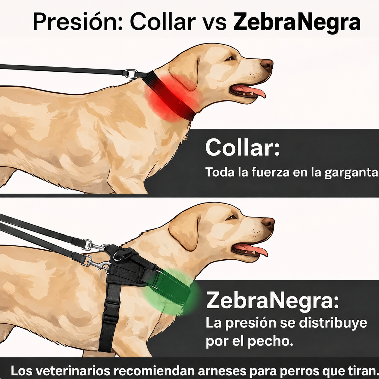 Arnés AntiTirones para Perros