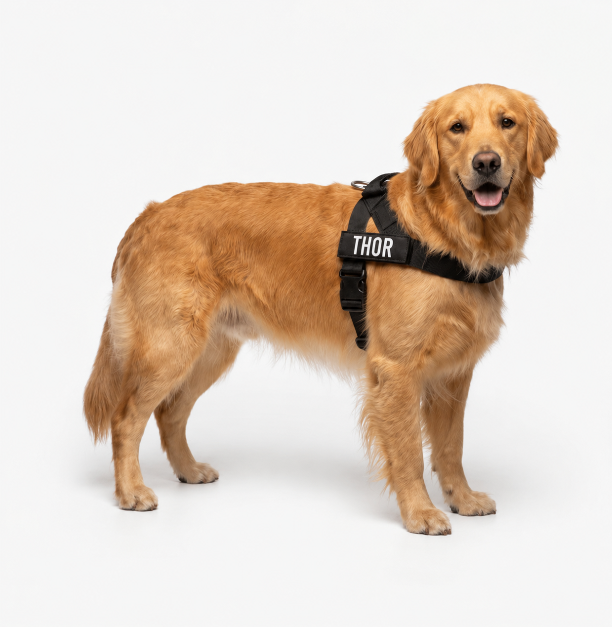 Arnés AntiTirones para Perros