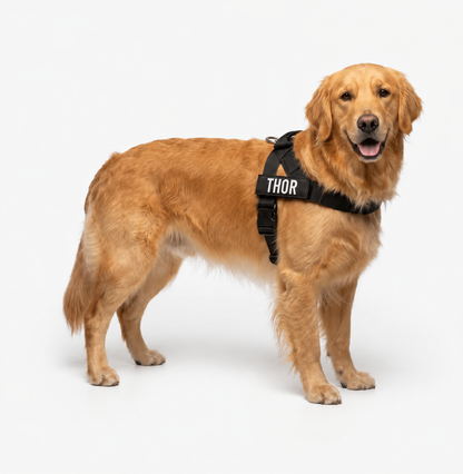Arnés AntiTirones para Perros