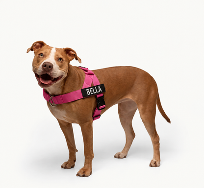 Arnés AntiTirones para Perros